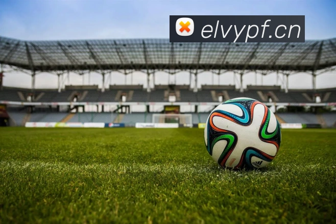 开云官网发展历程